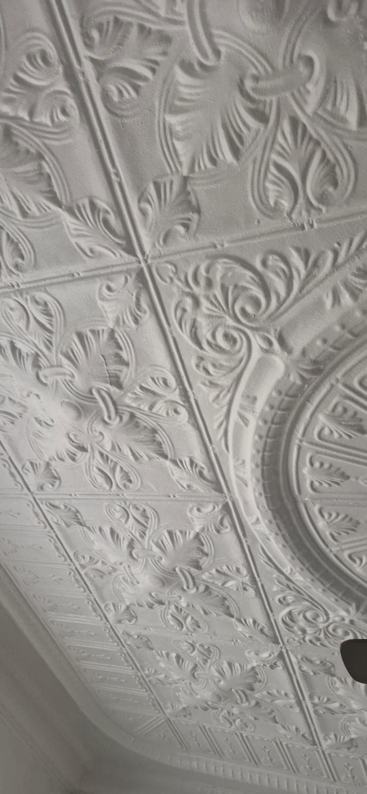 Portrait detail of the finished ceiling